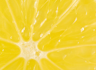 Lemon Slice Close Up