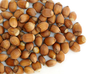 Background from hazel