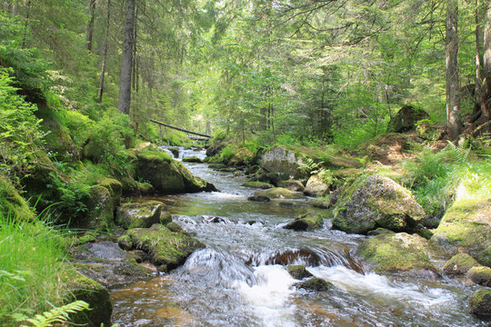 Schwarzwald