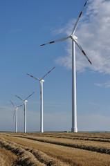 sassonia, generatori eolici fra le stoppie di grano