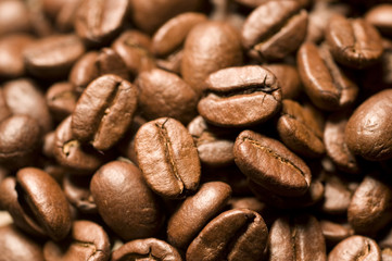 coffee beans, macro focus selected