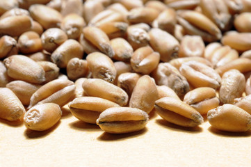 close up of grains of wheat over white table