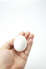 Fototapeta na wymiar I dostarczyć bezpiecznie jajo