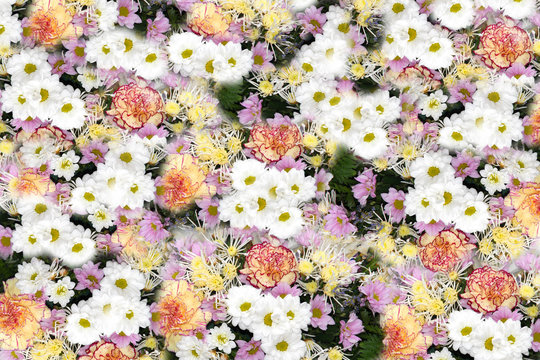 fondo alfombra floral © Maruba
