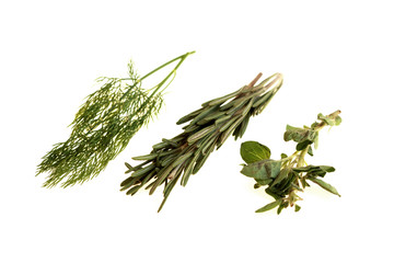 Dill Rosemary and Oragano
