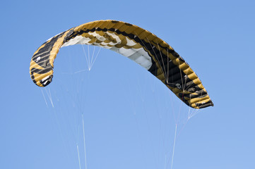 Bridle kite