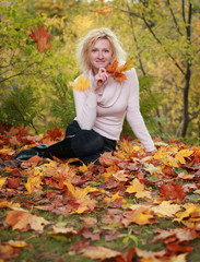 yellow forest