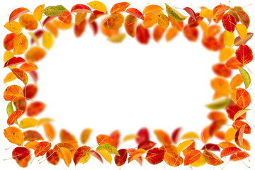 Autumn leaves frame