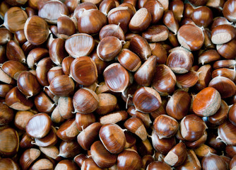 Obraz premium Many Chestnuts