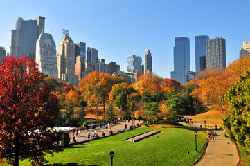 Autumn in the Central Park & NYC. - obrazy, fototapety, plakaty