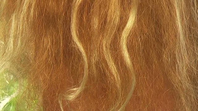 beauty of woman body