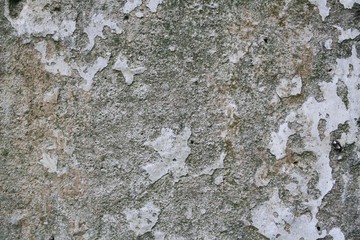 Сoncrete Texture