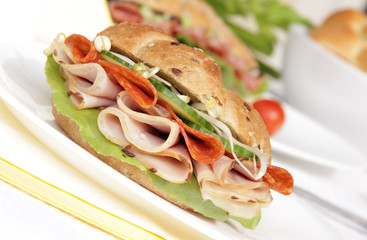 Fresh delicious sandwich