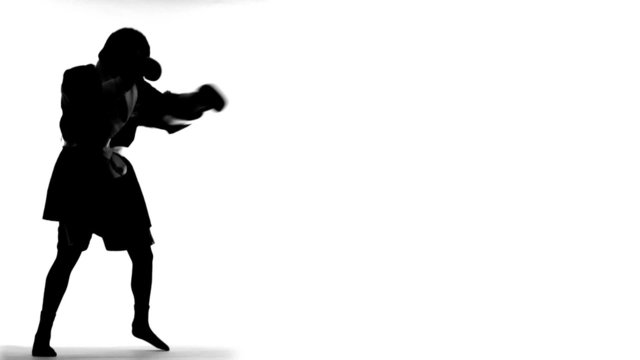Boxer Spars in Robe (silhouette)