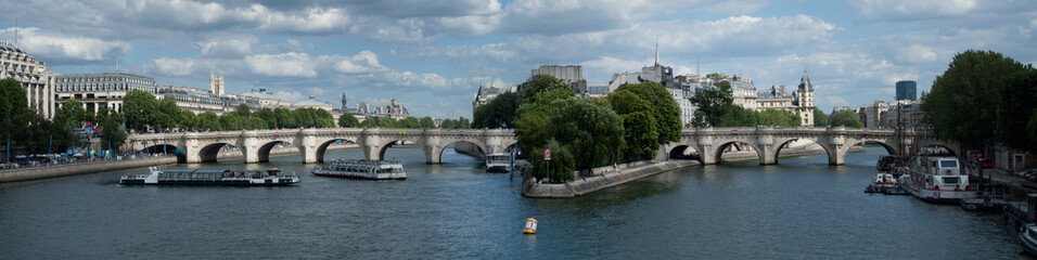 Fototapeta na wymiar Pont-Neuf, Paryż, Francja