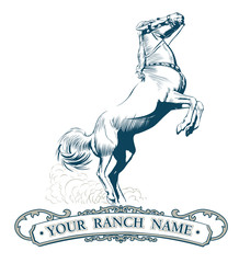 horse label vintage