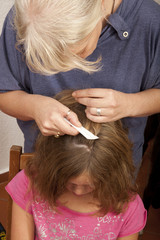 Fototapeta premium AUF DER SUCHE NACH DEN KOPFLÄUSEN