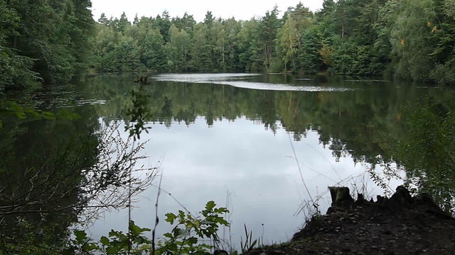Silbersee