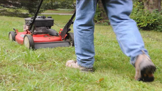 man mowing grass lawn detail no sound