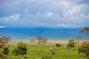 Fototapeta na wymiar Landscape of Ngorongoro crater in Tanzania