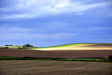Fototapeta na wymiar Landschaft - Hintergrundbild für Desctop