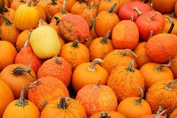 Piles of Pumpkins V