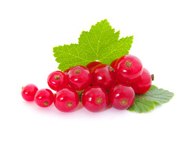 red currants
