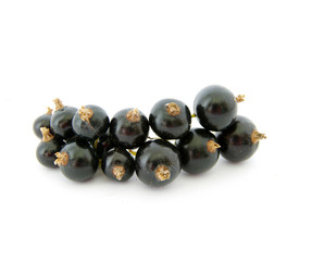 Black currant