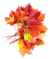 fall leaves decoration