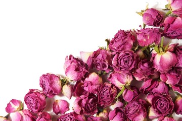 dry rose
