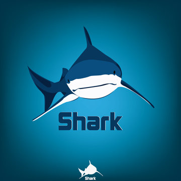 Shark vector