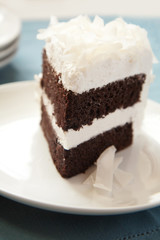 Chocolate coconut cake