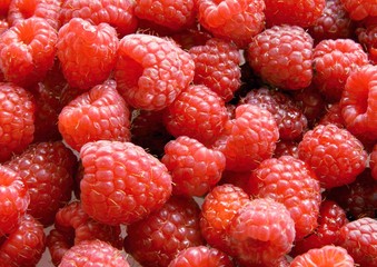 red sweet raspberries