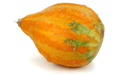 Kürbis