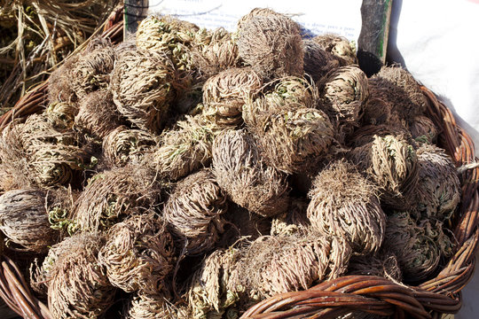 Cesto con rose di Gerico