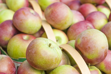 Baskets Full of Macintosh Apples in the Market