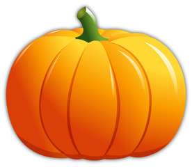 Pumpkin