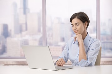 Professional woman with laptop computer