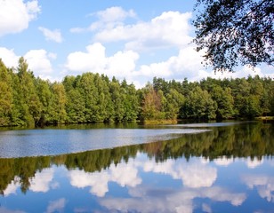 Fototapeta na wymiar Jezioro w lesie
