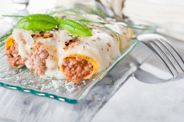 cannelloni ragout 