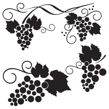 recommend clip art: Set of grape design elements