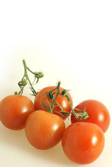 Tomaten
