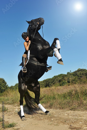 "cheval cabré" photo libre de droits sur la banque d