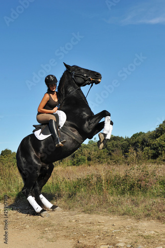 "cheval cabré" photo libre de droits sur la banque d