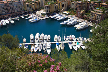Marina in Monaco