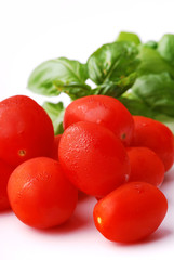 Pomidorki mini i bazylia