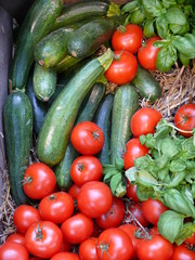 Tomaten und Salatgurken