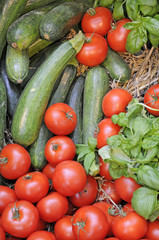 Tomaten und Salatgurken