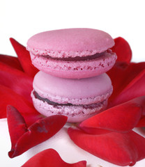 duo de macarons roses