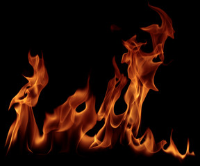 Fire flame isolated on black background